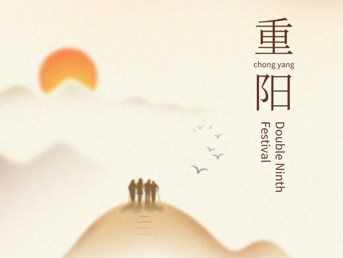 圖片7